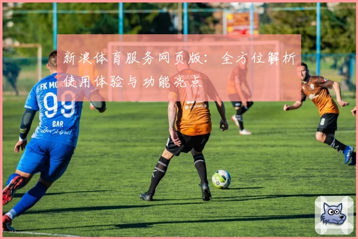 新浪体育服务网页版：全方位解析使用体验与功能亮点
