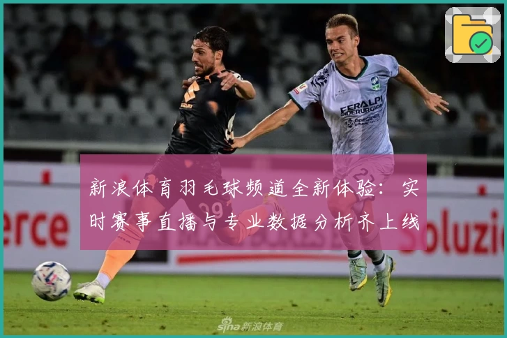 新浪体育羽毛球频道全新体验：实时赛事直播与专业数据分析齐上线