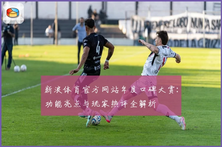 新浪体育官方网站年度口碑大赏：功能亮点与玩家热评全解析