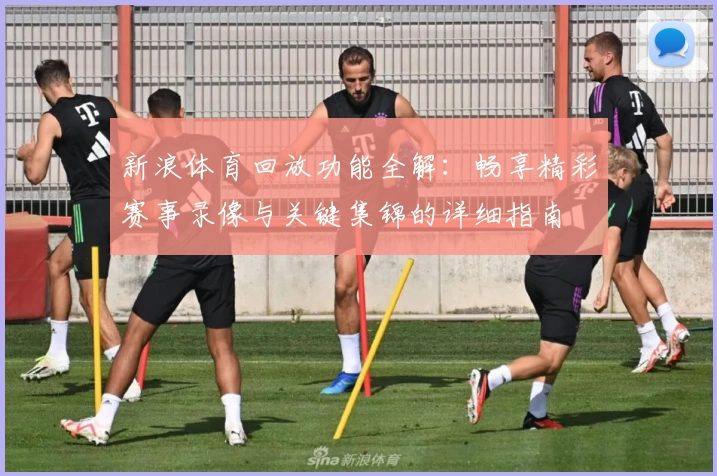 新浪体育回放功能全解：畅享精彩赛事录像与关键集锦的详细指南