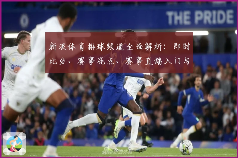 新浪体育排球频道全面解析：即时比分、赛事亮点、赛事直播入门与精彩回放攻略