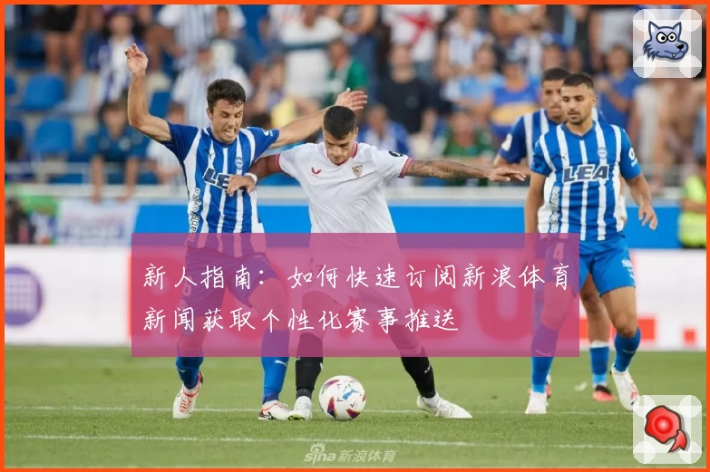 新人指南：如何快速订阅新浪体育新闻获取个性化赛事推送