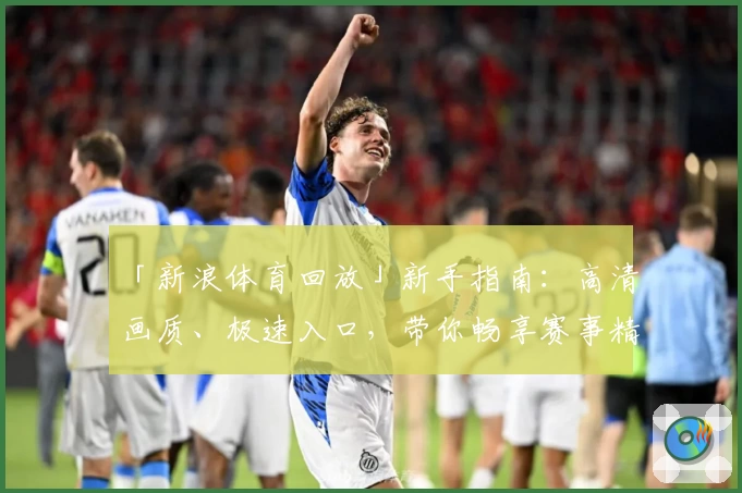 「新浪体育回放」新手指南：高清画质、极速入口，带你畅享赛事精彩瞬间