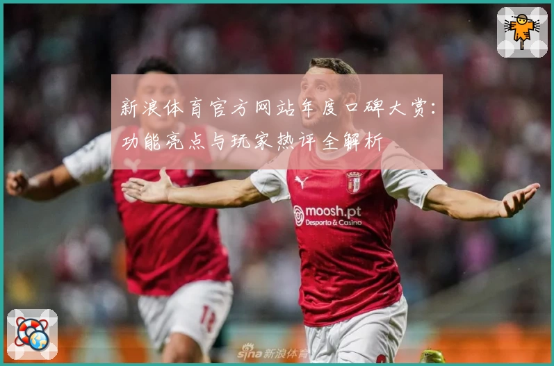 新浪体育官方网站年度口碑大赏：功能亮点与玩家热评全解析