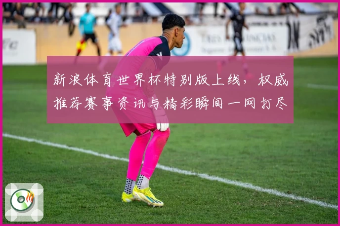 新浪体育世界杯特别版上线，权威推荐赛事资讯与精彩瞬间一网打尽