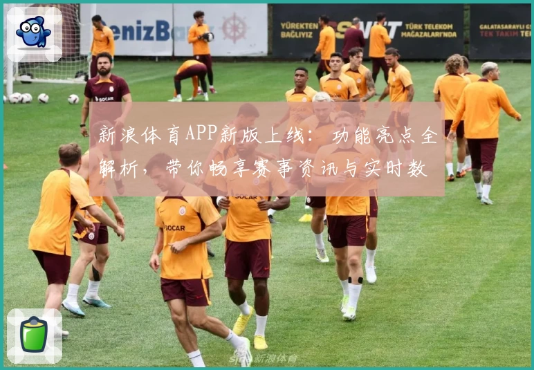 新浪体育APP新版上线：功能亮点全解析，带你畅享赛事资讯与实时数据体验