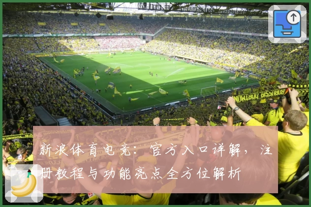 新浪体育电竞：官方入口详解，注册教程与功能亮点全方位解析