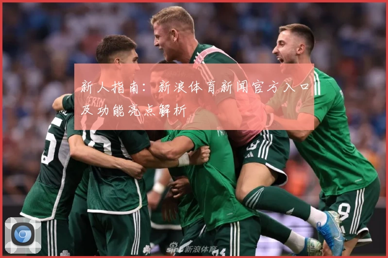 新人指南：新浪体育新闻官方入口及功能亮点解析