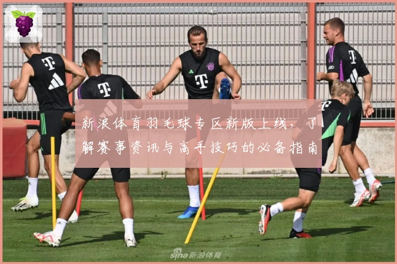 新浪体育羽毛球专区新版上线，了解赛事资讯与高手技巧的必备指南