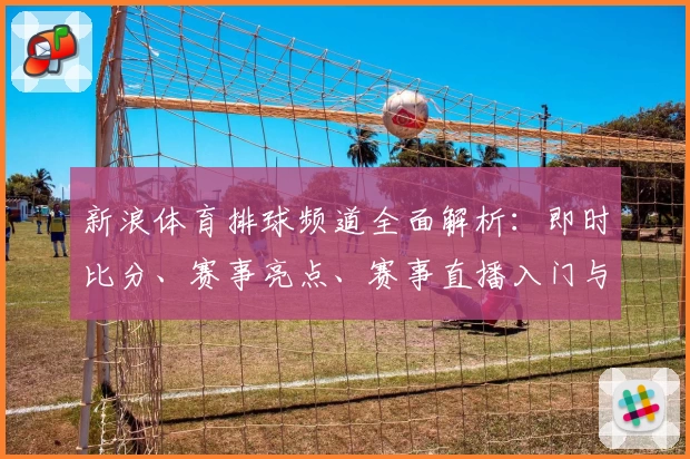 新浪体育排球频道全面解析：即时比分、赛事亮点、赛事直播入门与精彩回放攻略