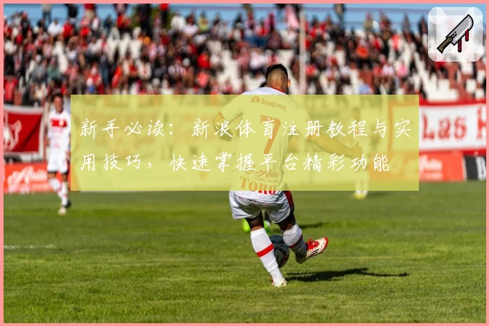新手必读：新浪体育注册教程与实用技巧，快速掌握平台精彩功能