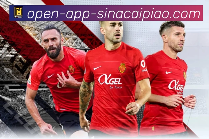 新浪彩票介绍图